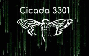 Quem Está por Trás da Cicada 3301